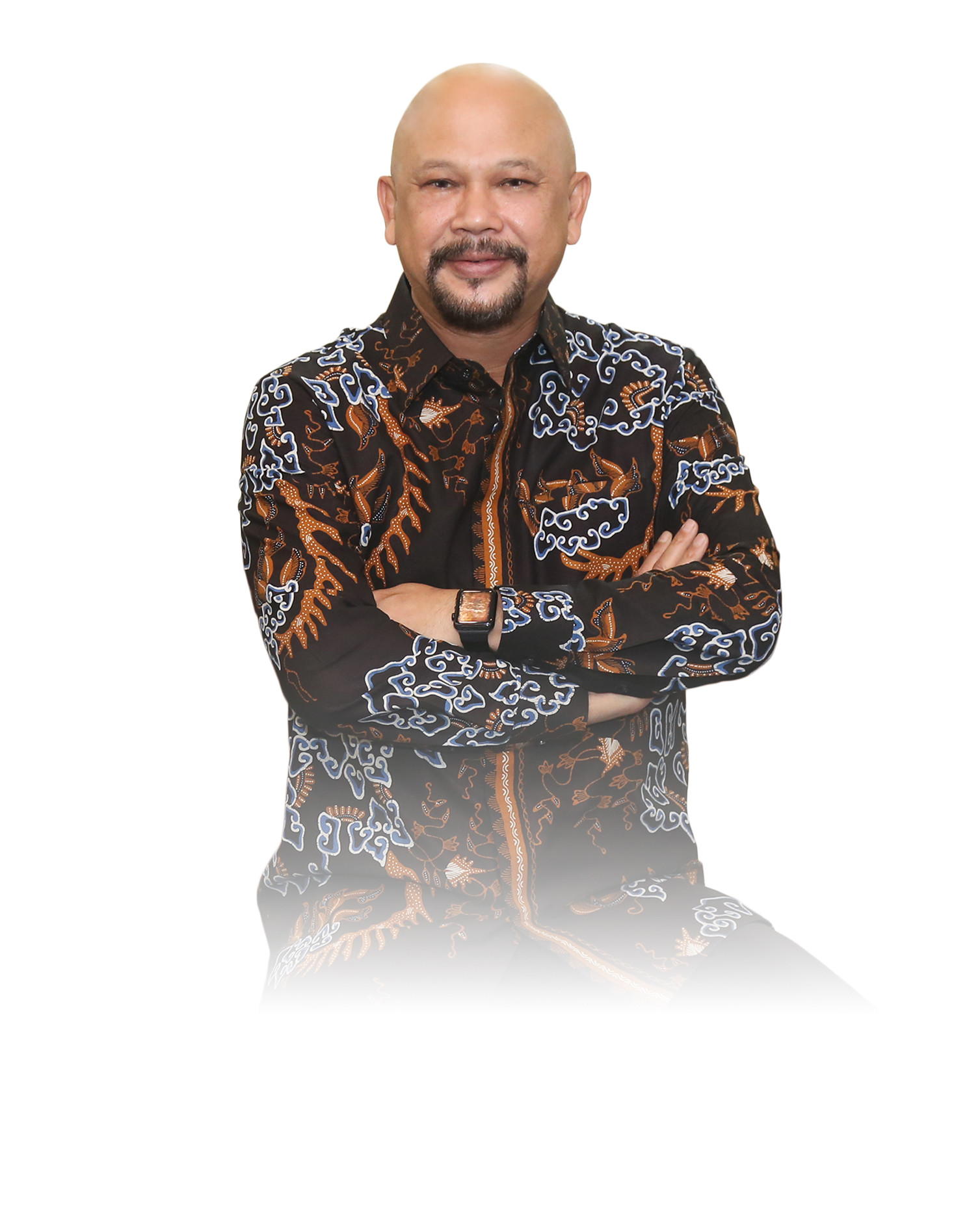 Prof. Dr. Ir. Hammam Riza, M.Sc., IPU